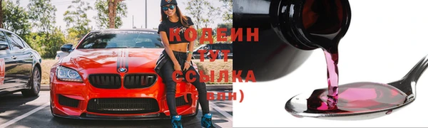 герыч Пересвет