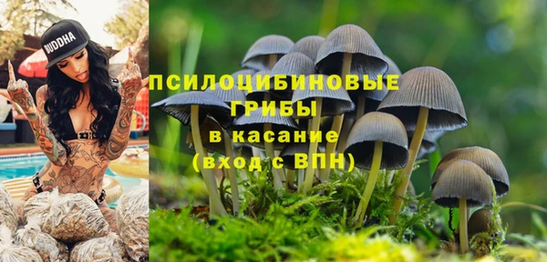 герыч Пересвет