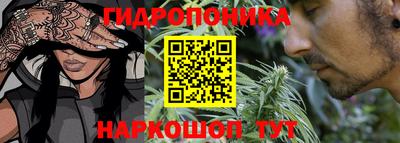 ПСИЛОЦИБИНОВЫЕ ГРИБЫ Кингисепп