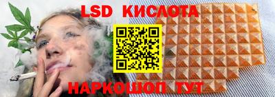 дживик Кимры