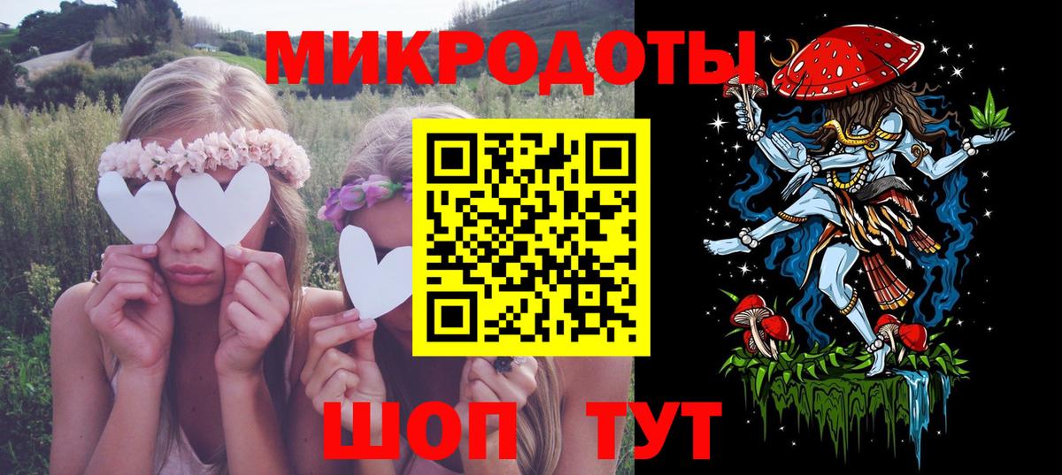 Галлюциногенные грибы Psilocybine cubensis Мурманск