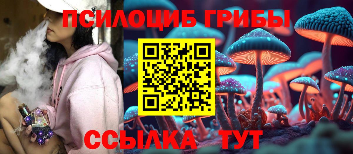 Псилоцибиновые грибы Psilocybe Мурманск